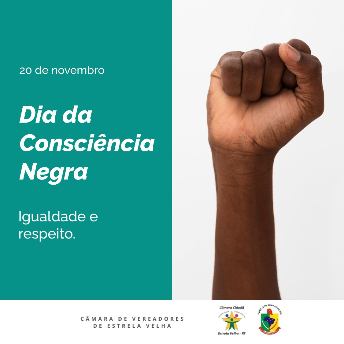 Dia da Consciência Negra!